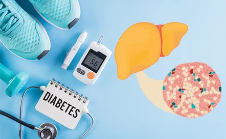 Fatty-Liver-and-Diabetes