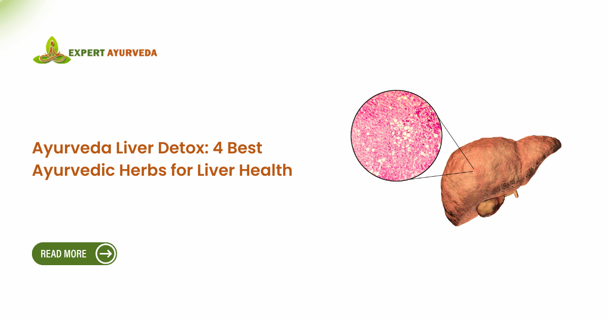 Ayurveda Liver Detox: 4 Best Ayurvedic Herbs for Liver Health